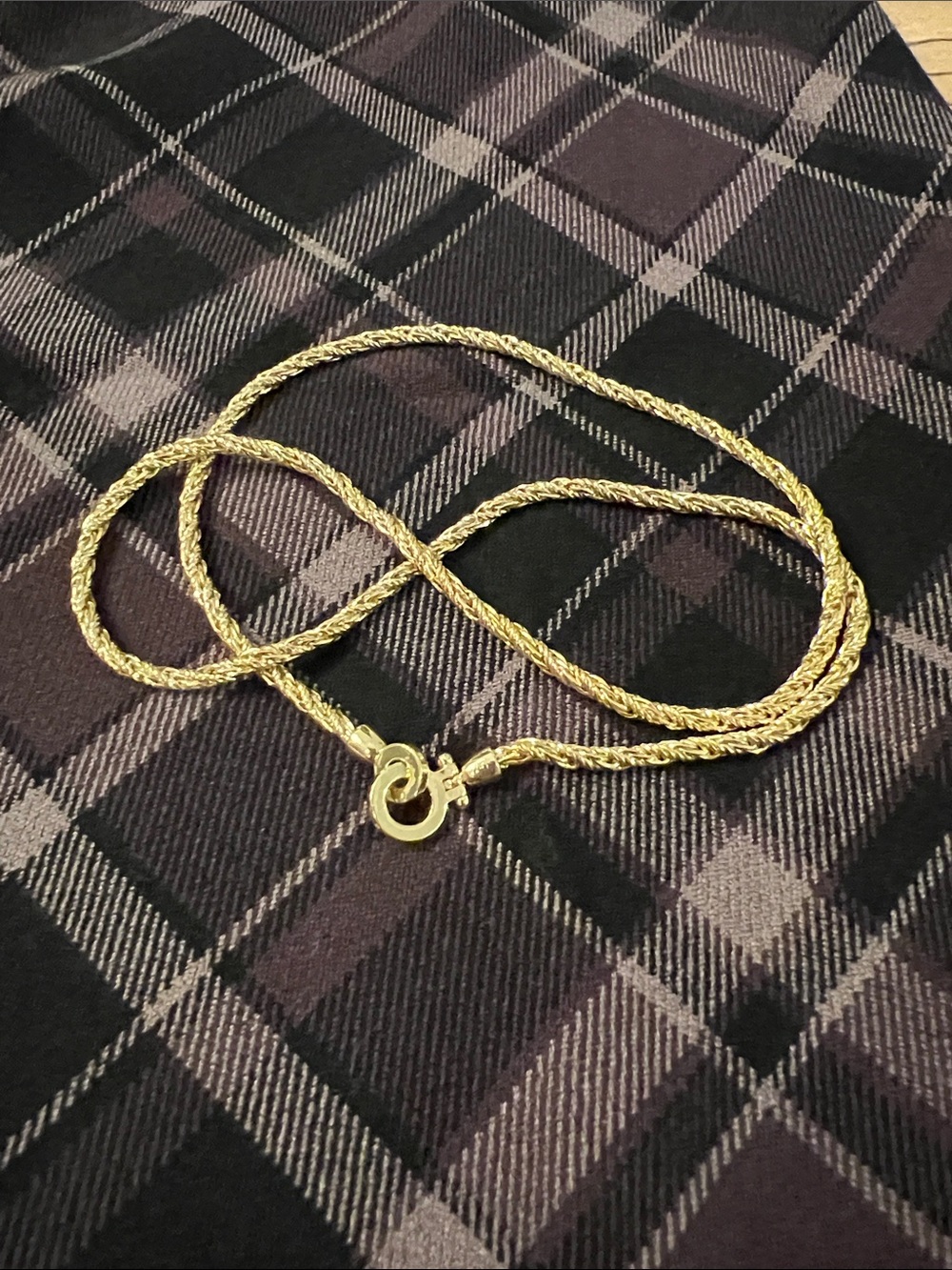 Gorjana Gold Plated Rope Chain Necklace with Charm Clasp